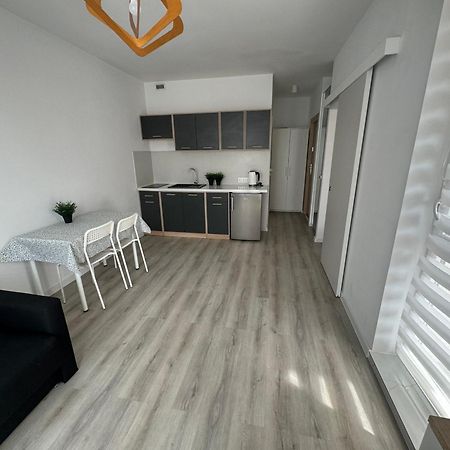 Appartement Apartament Katowicka à Poznań Extérieur photo