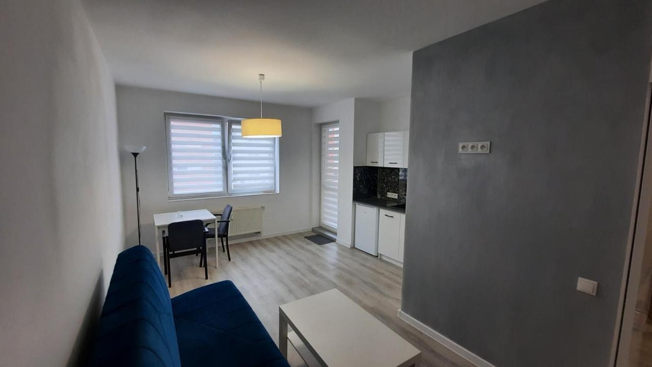 Appartement Apartament Katowicka à Poznań Extérieur photo
