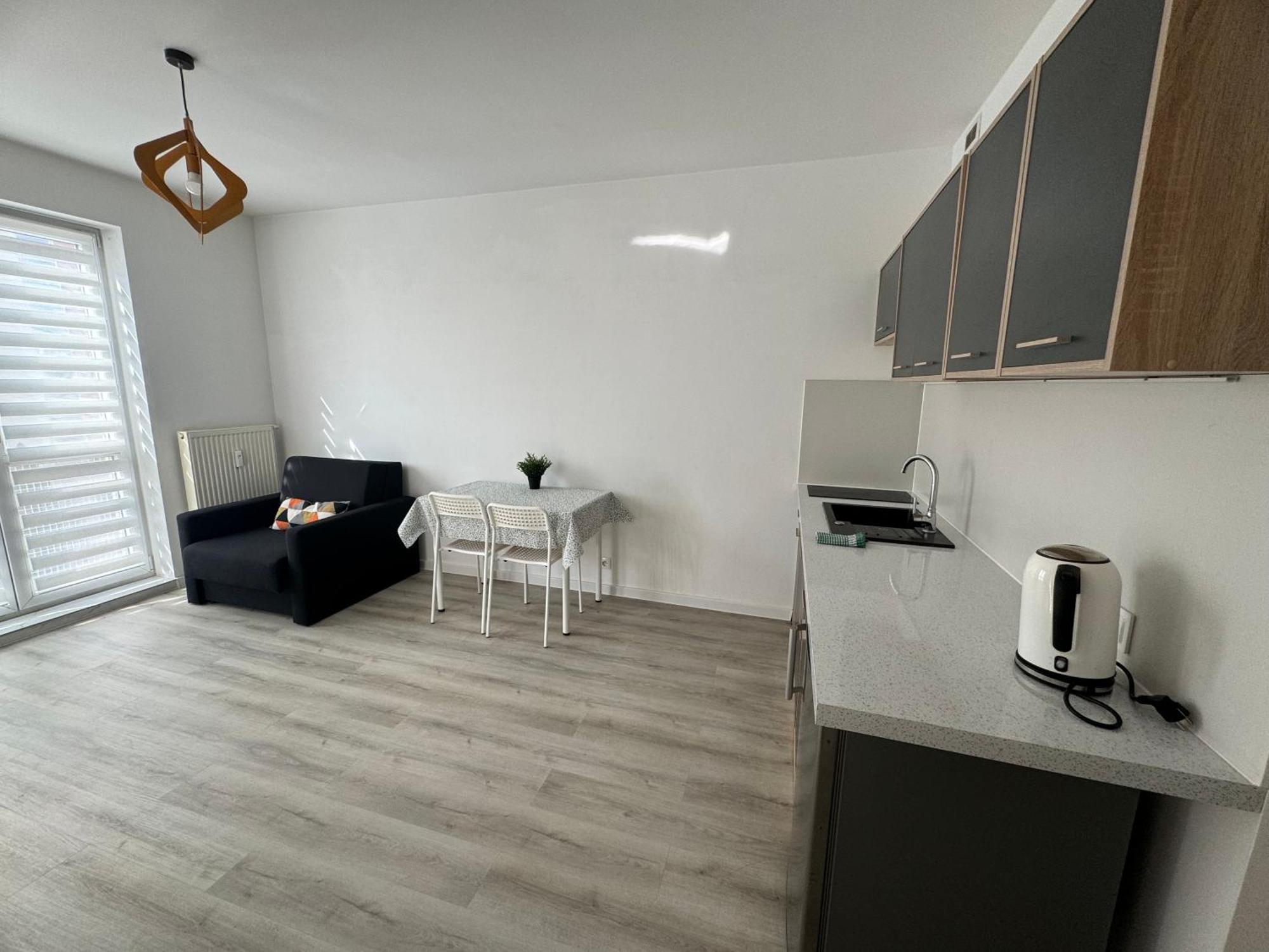 Appartement Apartament Katowicka à Poznań Extérieur photo